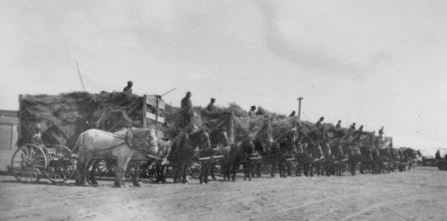 Dangberg-Feed-Wagons-1920