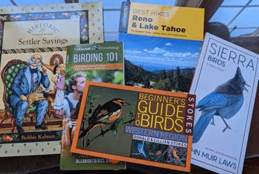 beginners-guide-to-birds
